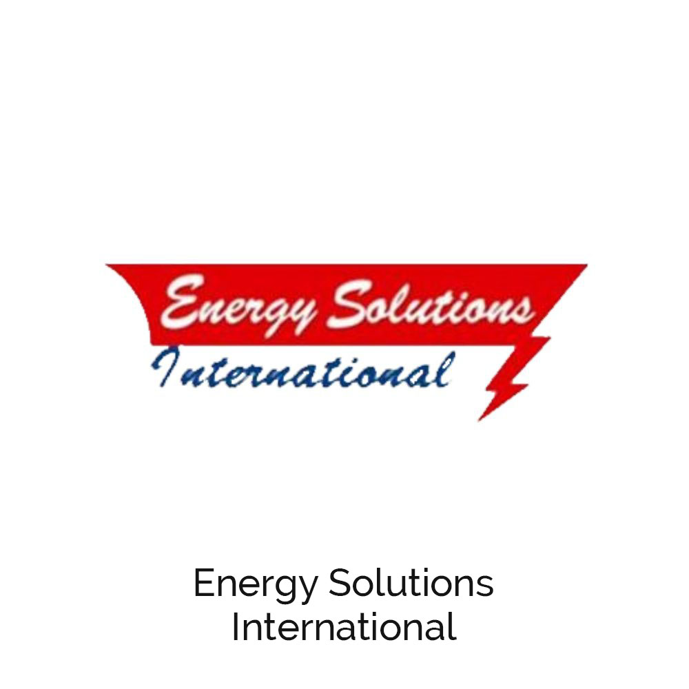 Energy Solution International
